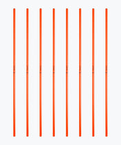 Slalom pinnar